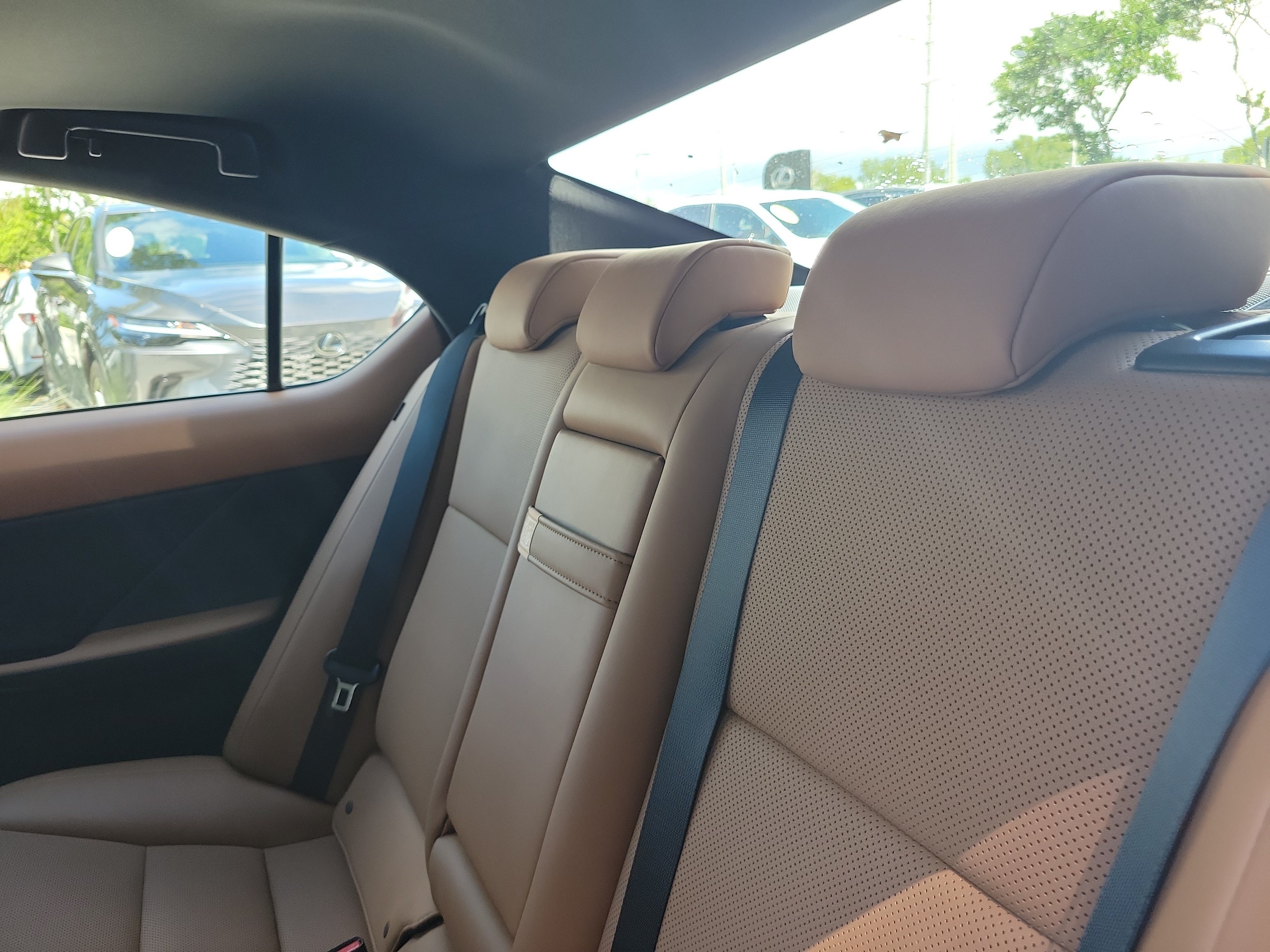 Used 2024 Lexus IS 300 w/ Comfort Package RWD image 11