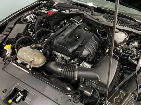 Used 2019 Ford Mustang Convertible w/ Equipment Group 101A RWD image 20