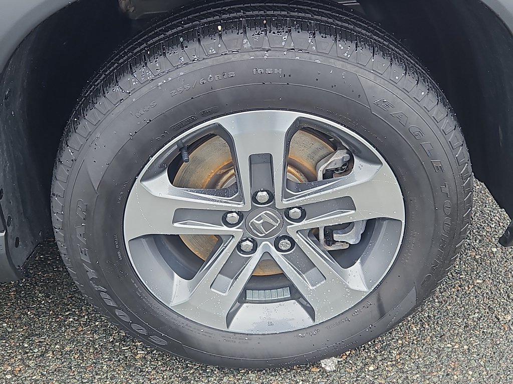 Certified 2025 Honda Pilot EX-L image 10