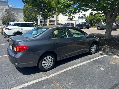 Used 2010 Toyota Corolla LE w/ All Weather Guard Pkg FWD image 3