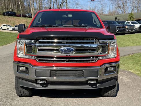 Used 2019 Ford F150 XLT w/ Equipment Group 302A Luxury image 3