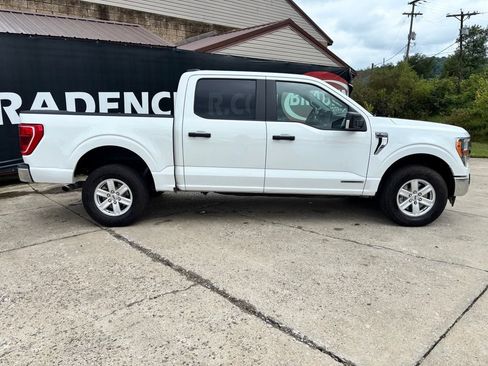 Used 2022 Ford F150 XLT w/ Trailer Tow Package AWD/4WD image 8