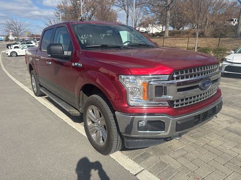 Used 2019 Ford F150 XLT w/ Equipment Group 302A Luxury image 2