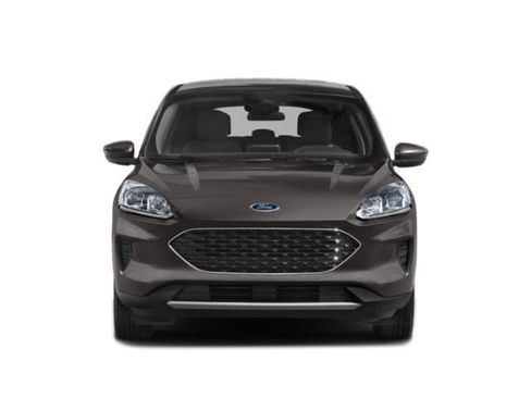 Used 2020 Ford Escape SE FWD image 7