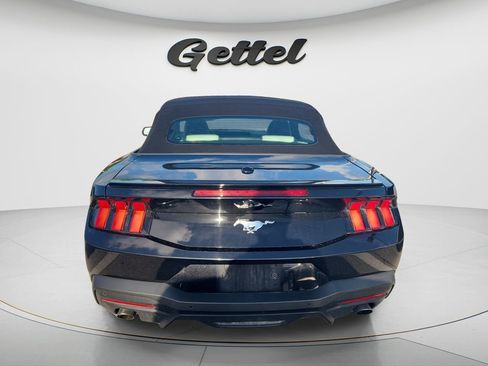 Used 2024 Ford Mustang Premium RWD image 4