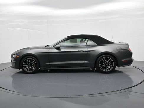 Used 2019 Ford Mustang Premium RWD image 9
