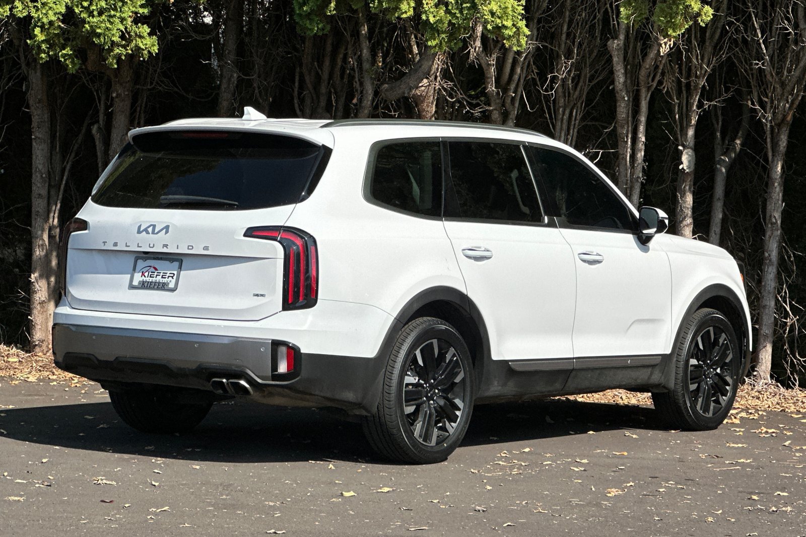 Certified 2025 Kia Telluride SX Prestige AWD/4WD image 4