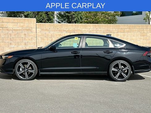 Used 2024 Honda Accord Sport image 7