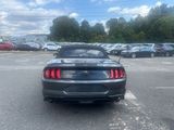 Used 2020 Ford Mustang Premium image 5