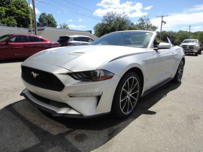 Used 2019 Ford Mustang Convertible w/ Wheel & Stripe Package
