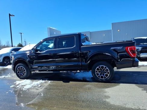 Used 2023 Ford F150 XLT w/ Equipment Group 302A High image 8