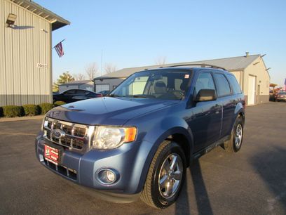 Used 2010 Ford Escape XLT