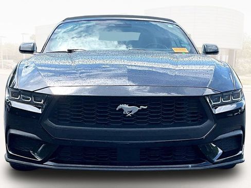 Used 2024 Ford Mustang Premium RWD image 2