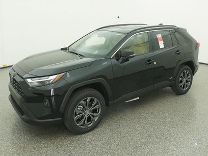 New 2025 Toyota RAV4 XLE Premium