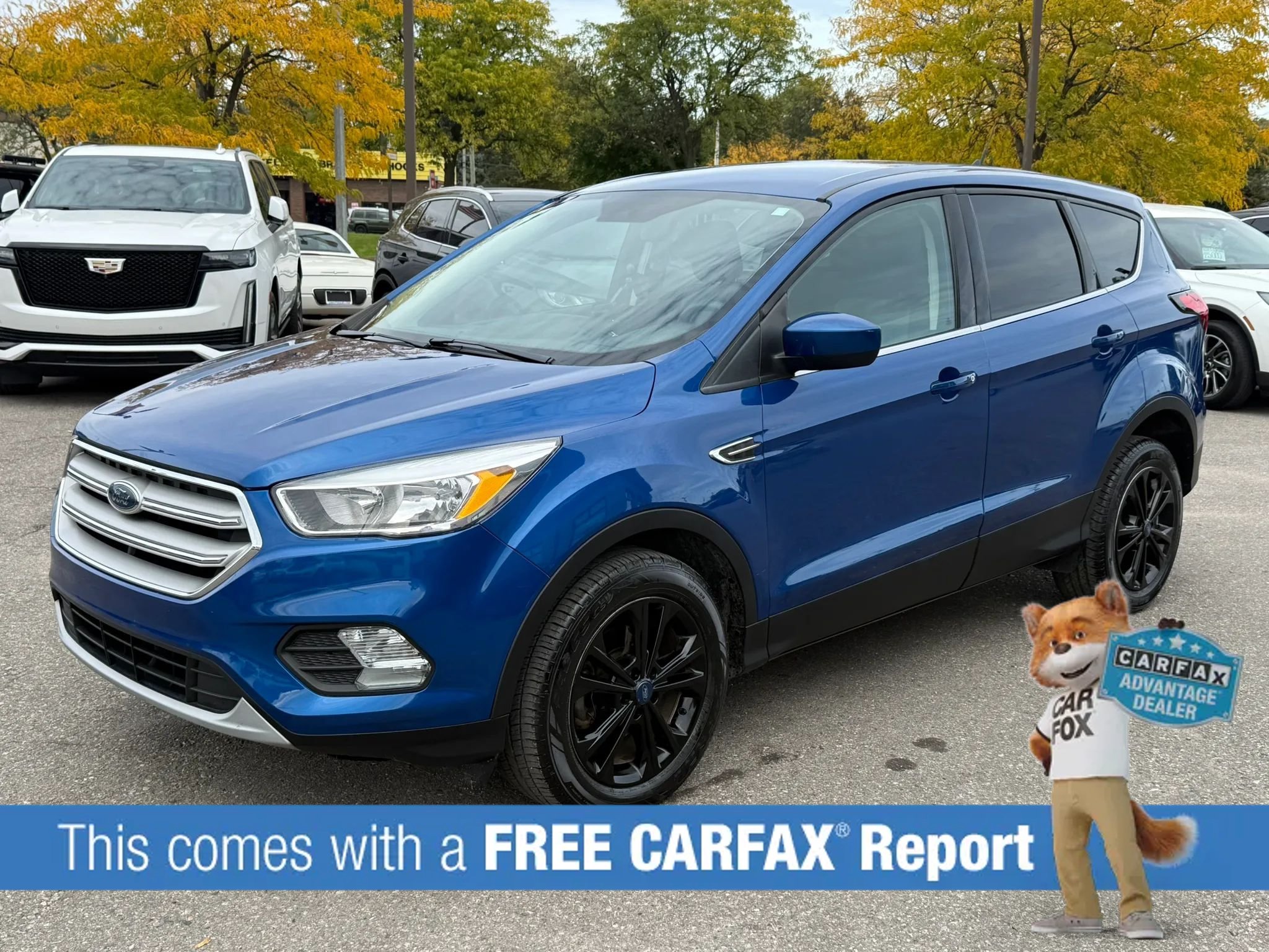 Used 2019 Ford Escape SE FWD image 1