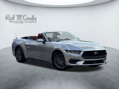 Used 2024 Ford Mustang Premium