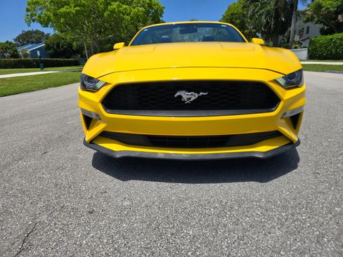 Used 2018 Ford Mustang Premium w/ Equipment Group 201A RWD image 2