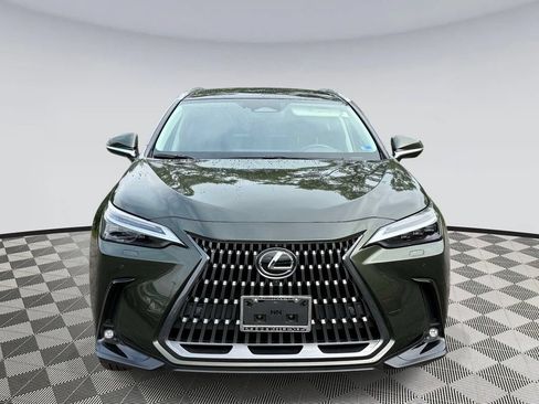 Used 2025 Lexus NX 350 AWD w/ Rear Seat Package image 6