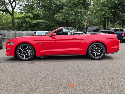 Certified 2019 Ford Mustang GT Premium w/ Ford Safe & Smart Package RWD image 7