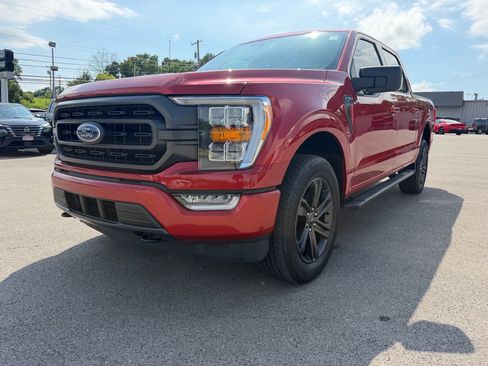 Used 2023 Ford F150 XLT w/ Equipment Group 302A High AWD/4WD image 8