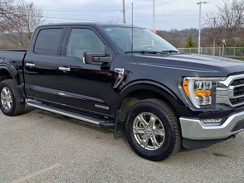 Certified 2023 Ford F150 XLT w/ Equipment Group 302A High image 2