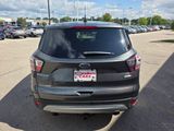 Used 2017 Ford Escape SE w/ SE Cold Weather Package image 4
