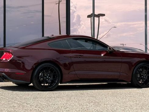 Used 2018 Ford Mustang Premium w/ Ecoboost Performance Package RWD image 16