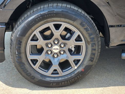 New 2026 Ford F150 STX w/ Equipment Group 200A RWD image 12