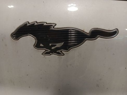 Used 2023 Ford Mustang Mach-E Premium AWD/4WD image 13