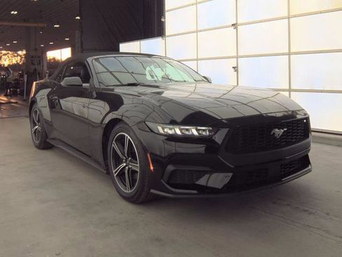 Used 2024 Ford Mustang Premium RWD image 2