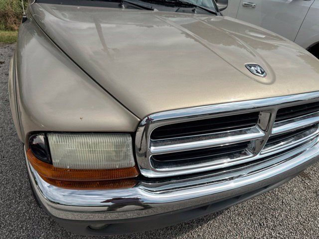 Used 2003 Dodge Dakota SLT RWD image 16