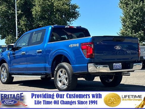 Used 2025 Ford F150 XLT w/ Equipment Group 301A Standard AWD/4WD image 6