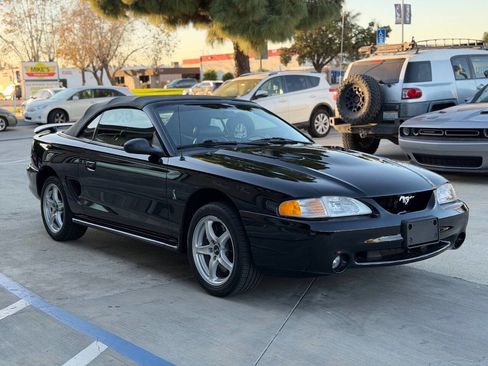 Used 1998 Ford Mustang Cobra image 5