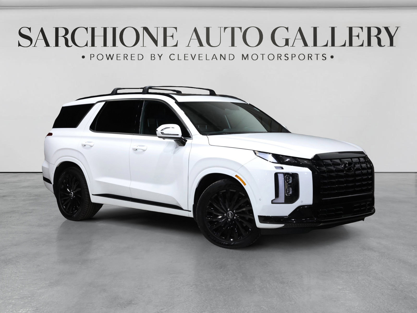 Used 2025 Hyundai Palisade Calligraphy AWD/4WD image 1