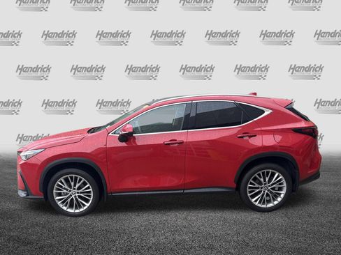 Used 2025 Lexus NX 350 AWD w/ Cold Area Package image 7