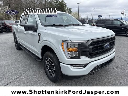 Used 2023 Ford F150 XLT w/ Equipment Group 302A High image 1