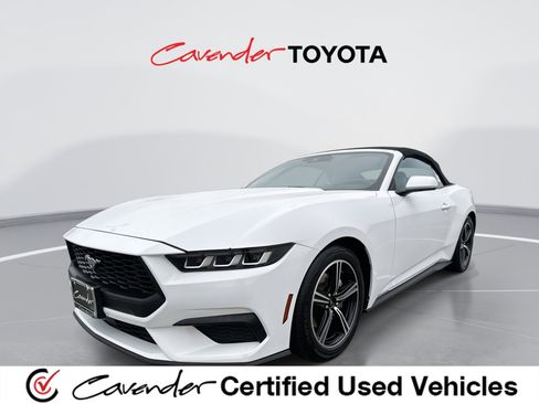 Used 2024 Ford Mustang Premium image 1