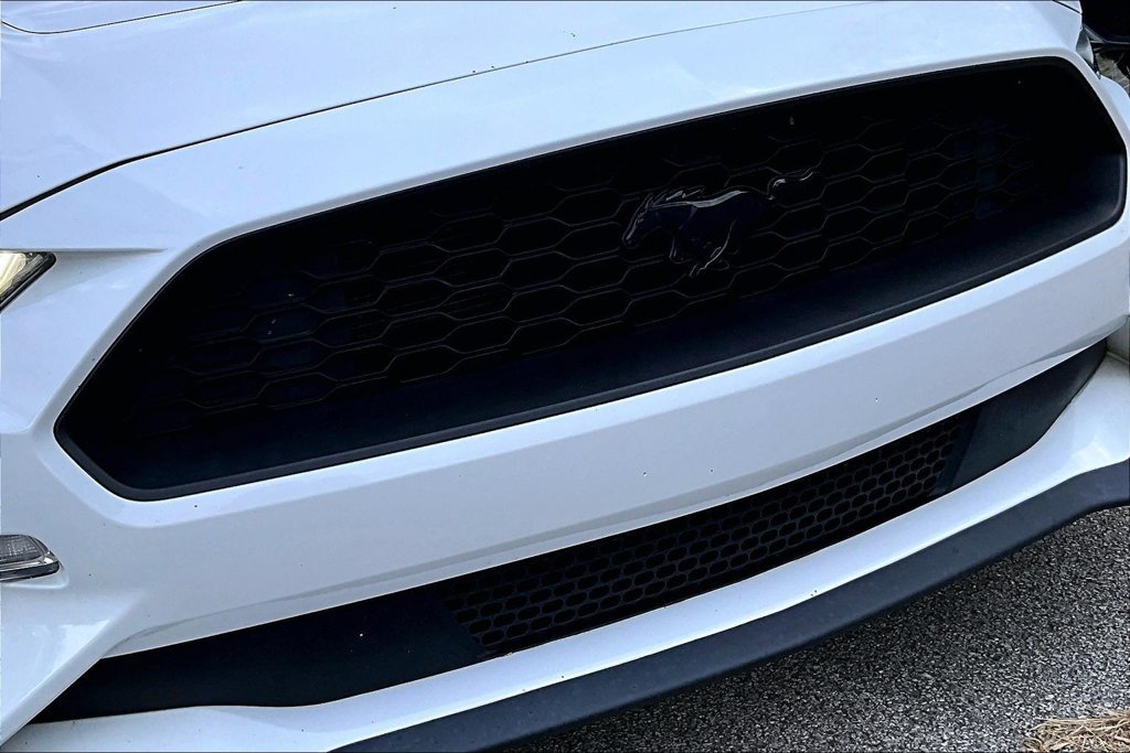 Used 2023 Ford Mustang Premium w/ Equipment Group 201A RWD image 37