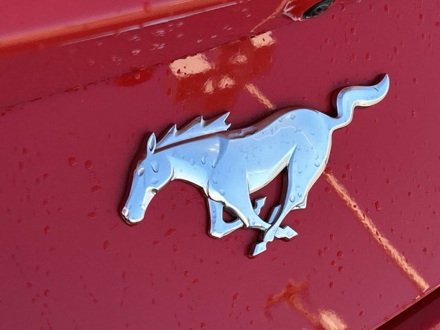 New 2026 Ford Mustang Premium RWD image 12