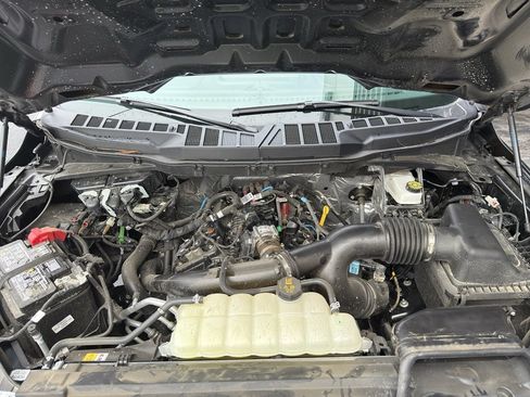 New 2025 Ford F150 XL w/ Equipment Group 103A High image 33