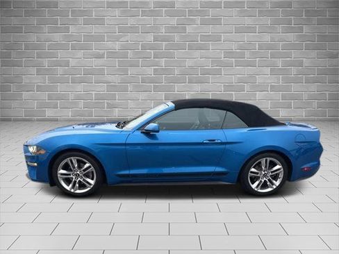 Used 2021 Ford Mustang Premium w/ Pony Package image 4