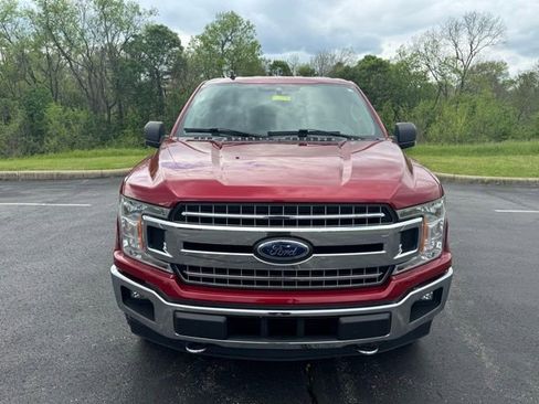 Used 2019 Ford F150 XLT w/ Equipment Group 302A Luxury image 8