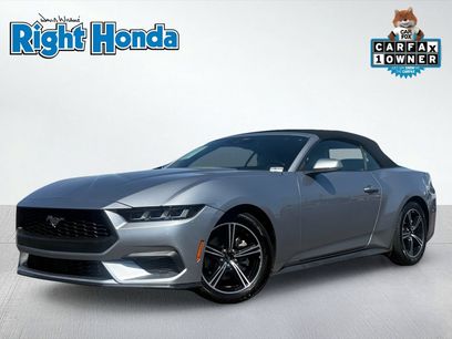 Used 2024 Ford Mustang Premium