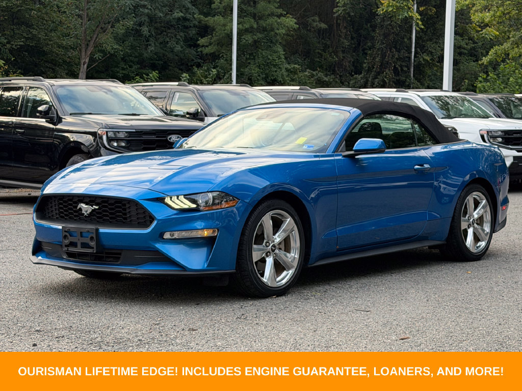 Used 2019 Ford Mustang Premium w/ Equipment Group 201A RWD image 3