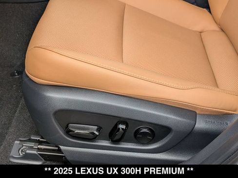 Used 2025 Lexus UX 300h AWD w/ Cold Area Package image 21