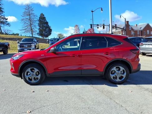 Used 2025 Ford Escape ST-Line w/ Tech Pack #1 image 8