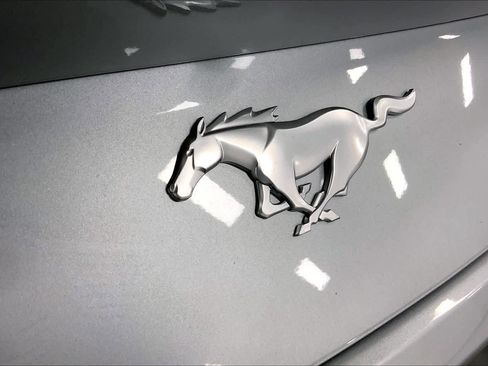 New 2026 Ford Mustang EcoBoostﾮ Fastback image 13