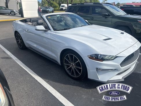 Used 2019 Ford Mustang Premium w/ Equipment Group 201A image 1