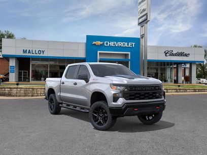 New 2026 Chevrolet Silverado 1500 Custom Trail Boss w/ LPO, Dark Essentials Package