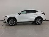 Used 2022 Lexus NX 350 AWD w/ Luxury Package image 2